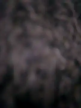 Ripe me online show from 11/10/25, 10:14