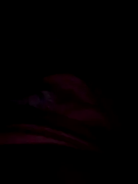 prettygirl3245 online show from 11/06/25, 05:19