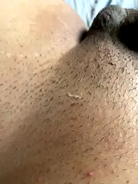 leiteiro2002 online show from 11/05/25, 08:20