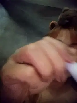 Rabbit-small online show from 03/20/26, 04:12