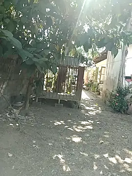 SL BEAR online show from 03/26/26, 04:18