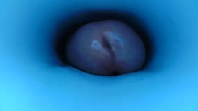 pedrolatino20cm online show from 12/15/25, 02:21