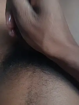 jhbswto online show from 02/17/26, 02:46