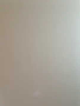 labellerose online show from 02/25/26, 06:06