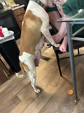 Mustbethemoney1234 online show from 04/06/26, 09:05