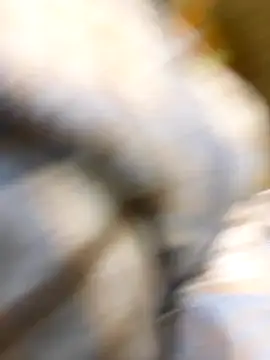  xiaoniaojiang online show from 10/15/25, 10:37