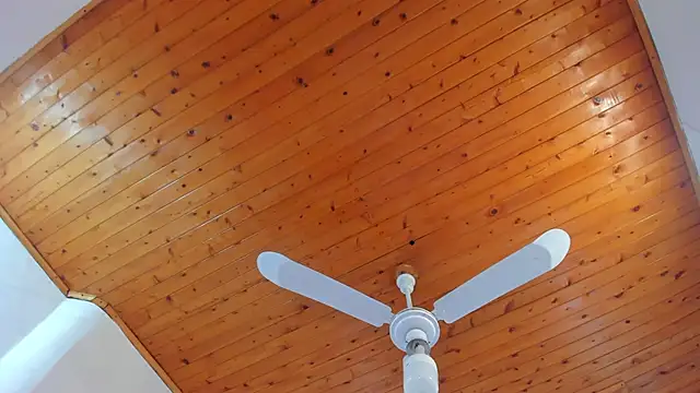 denisse khan online show from 10/17/25, 11:46