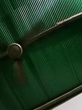 Jessica-03 online show from 03/13/26, 05:30