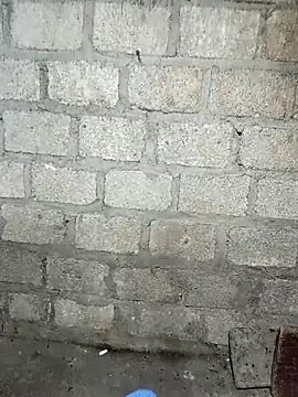 siusiu-00 online show from 11/21/25, 07:56