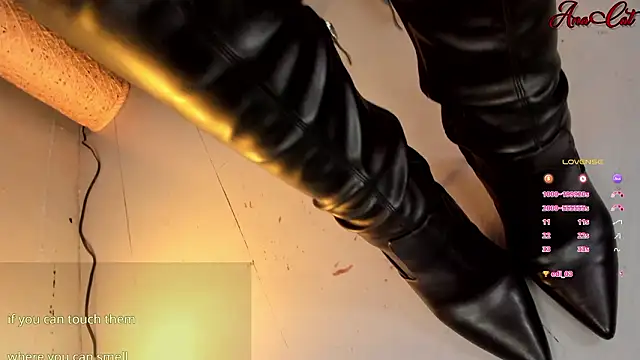 ana cat online show from 03/11/26, 03:51