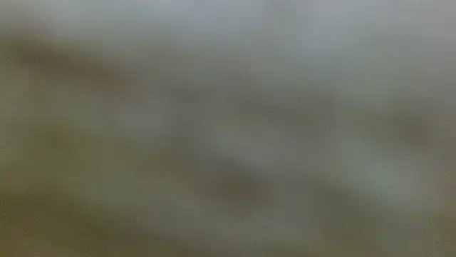 Axel Stones  online show from 11/21/25, 01:21