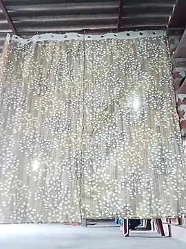 Rajni chauhan online show from 11/15/25, 06:55