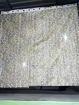 Rajni chauhan online show from 11/30/25, 03:49