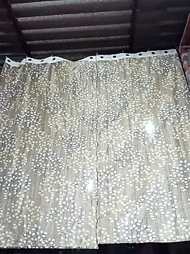 Rajni chauhan online show from 12/15/25, 04:11