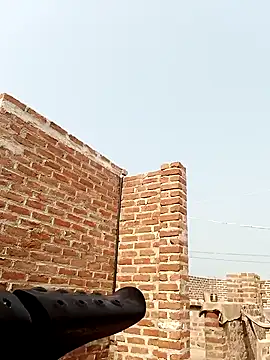 Rajni chauhan online show from 02/20/26, 06:26