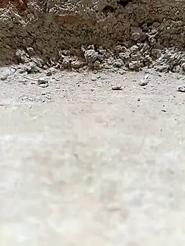 Rajni chauhan online show from 03/25/26, 04:13