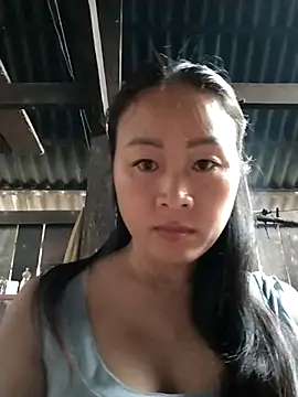 Spring-mky online show from 11/01/25, 09:11