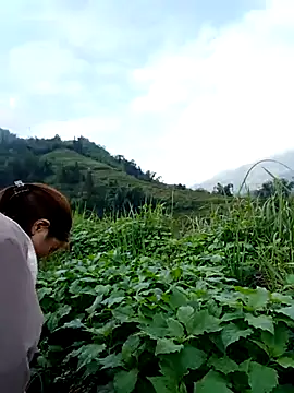 omai-ngot online show from 11/15/25, 01:14