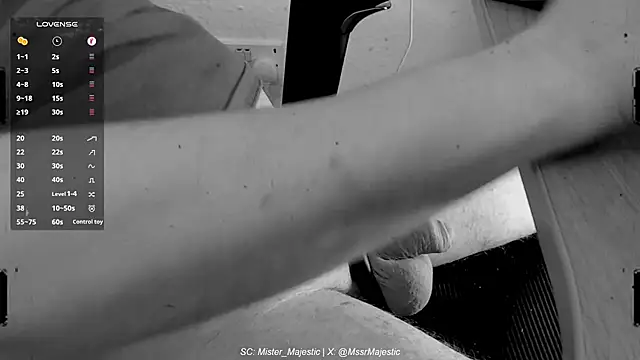 Mister Majestic online show from 12/01/25, 04:12