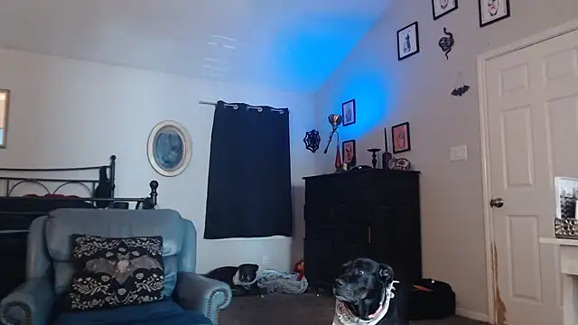 ImKatMeow online show from 02/09/26, 05:17