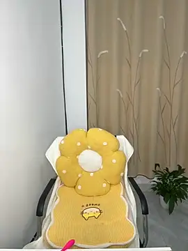 zxcvbnmqwas213 online show from 11/09/25, 05:22