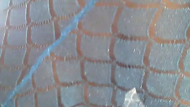 Hotcougar online show from 03/08/26, 05:44