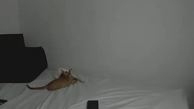 tifanymonroe online show from 10/30/25, 11:00