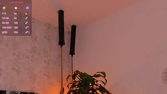 Snapshot of david_lux chatting on 10/29/25, 01:02 david lux online show from 10/29/25, 01:02