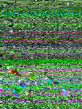Dev2k22 online show from 12/17/25, 06:14
