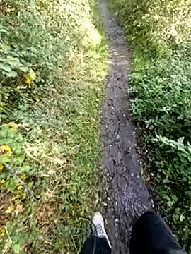 bbyxklaus online show from 11/02/25, 12:18