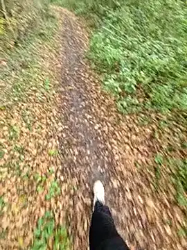 bbyxklaus online show from 11/06/25, 12:28