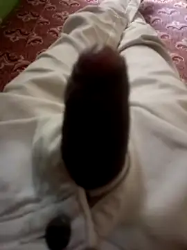 kumarstelugu online show from 12/19/25, 06:31