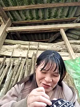 chipu06 online show from 11/15/25, 03:37