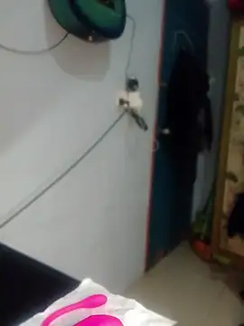 Snapshot of Nex_live chatting on 05/17/26, 12:56 Nex live online show from 05/17/26, 12:56
