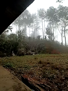 sowbibi online show from 12/15/25, 02:16