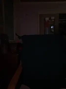 Snapshot of Macduckd chatting on 02/13/26, 06:53 Macduckd online show from 02/13/26, 06:53