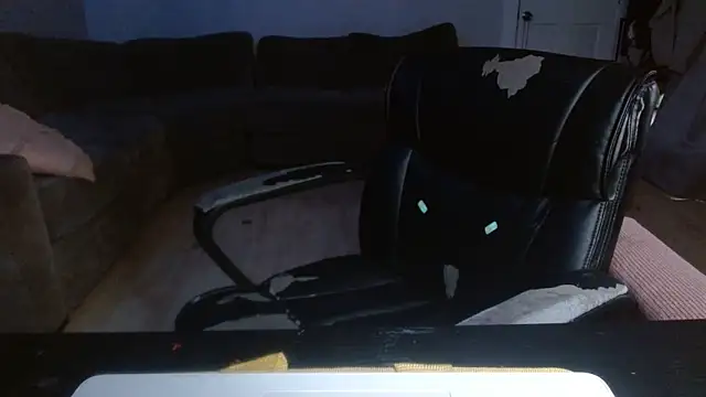 Snapshot of stacybanks chatting on 11/25/25, 12:38 stacybanks online show from 11/25/25, 12:38