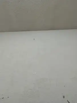 Chicattoo69 online show from 11/20/25, 06:07