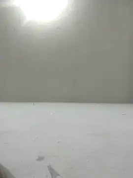 Chicattoo69 online show from 12/02/25, 01:55