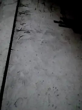 rickkis2k online show from 12/13/25, 09:53