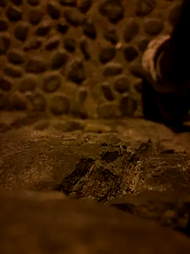 Rico1 1 online show from 11/19/25, 11:38