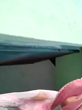 Bhumika Love online show from 11/11/25, 11:21