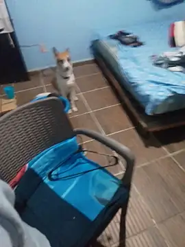 666Daemon666 online show from 01/17/26, 05:12