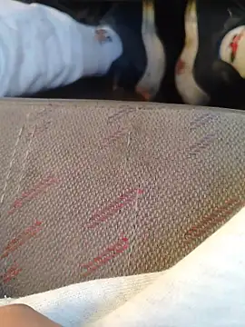 666Daemon666 online show from 01/17/26, 11:19