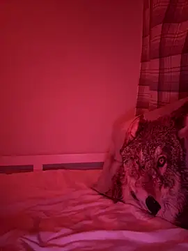 Janekat online show from 02/06/26, 03:33