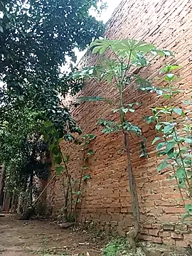 Jorgebenitez 1 online show from 10/28/25, 02:20