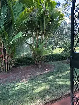 BubblesLovexox online show from 04/04/26, 12:57