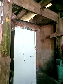 Noelle-e online show from 03/25/26, 05:13