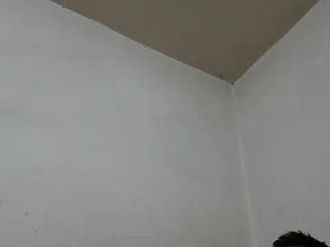 GordoChancludoSLP online show from 11/25/25, 04:45