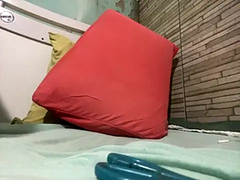 Snapshot of _DignoDePutaria_ chatting on 10/30/25, 04:03  DignoDePutaria  online show from 10/30/25, 04:03